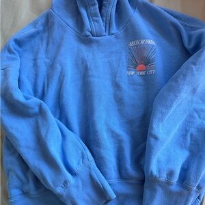 Abercrombie Kids Light Blue Hoodie